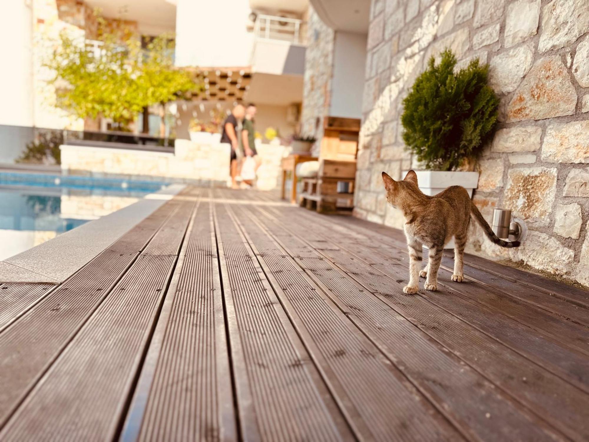 Villa Merkuri Himare Buitenkant foto